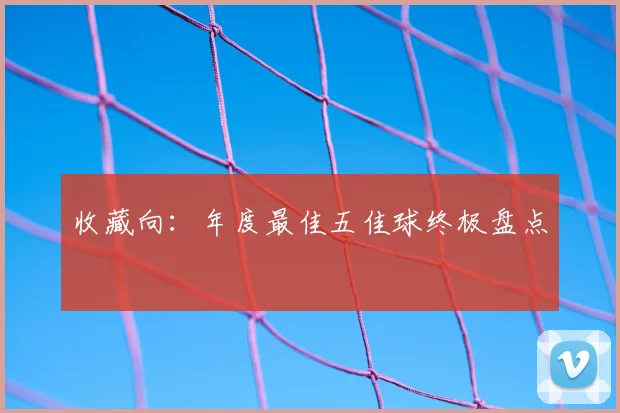 收藏向:年度最佳五佳球终极盘点