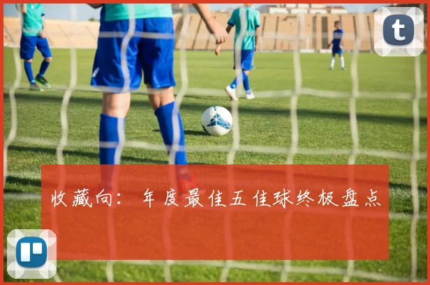 收藏向:年度最佳五佳球终极盘点