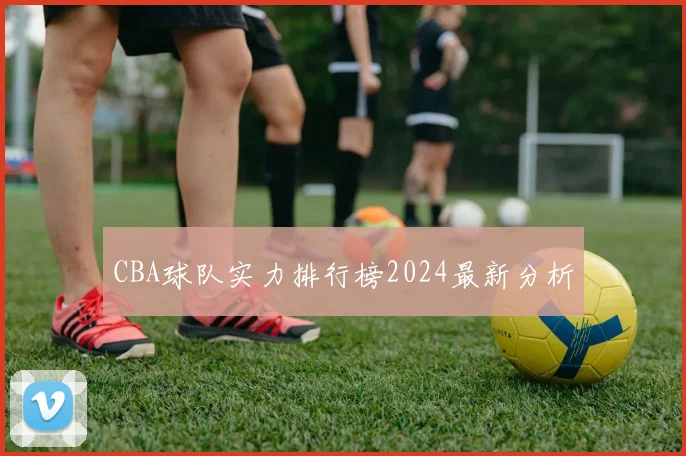CBA球队实力排行榜2024最新分析