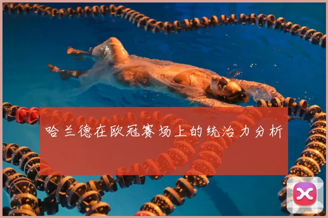 哈兰德在欧冠赛场上的统治力分析