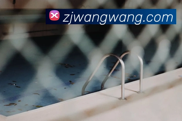 奖项证书